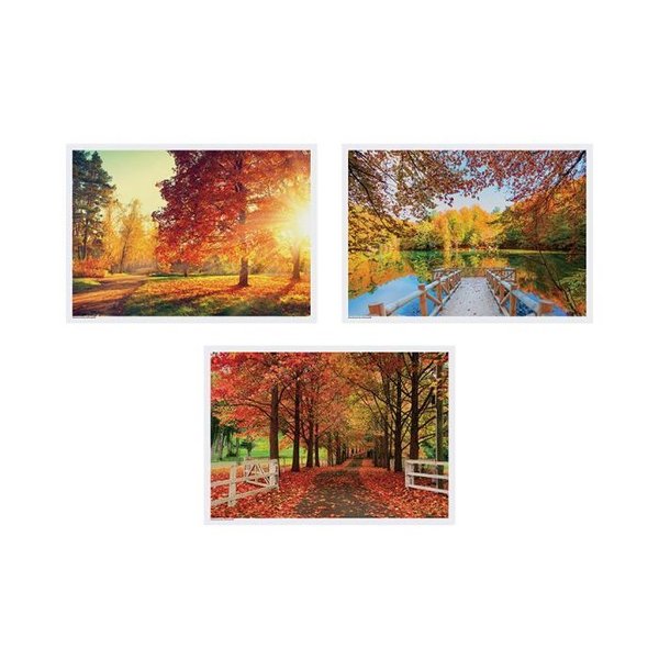 Hoffmaster 10" x 14" Fall Multipack Paper Placemats, PK1000 702078