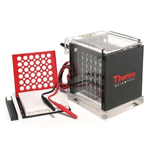 Thermo Fisher Scientific Asheville Owl Mini Tank Electroblotter System VEP-2