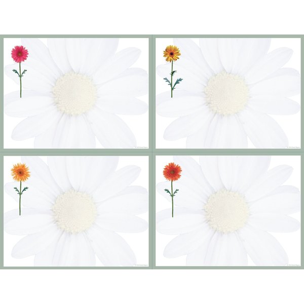 Great Papers Postcards, Daisies, 4.25"x5.5", 10, PK40 919598