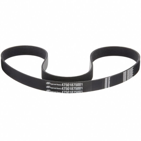 Ingersoll-Rand 47501875001 Micro Ribbed V-Belt, 49-7/32" Outside Length, 24 33/64 mm Top Width, 5 Ribs 47501875001