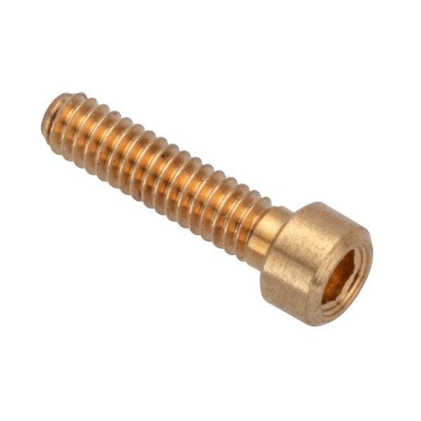 Ampg #0-80 Socket Head Cap Screw, Plain Brass, 1/4 in Length ZS55000C04