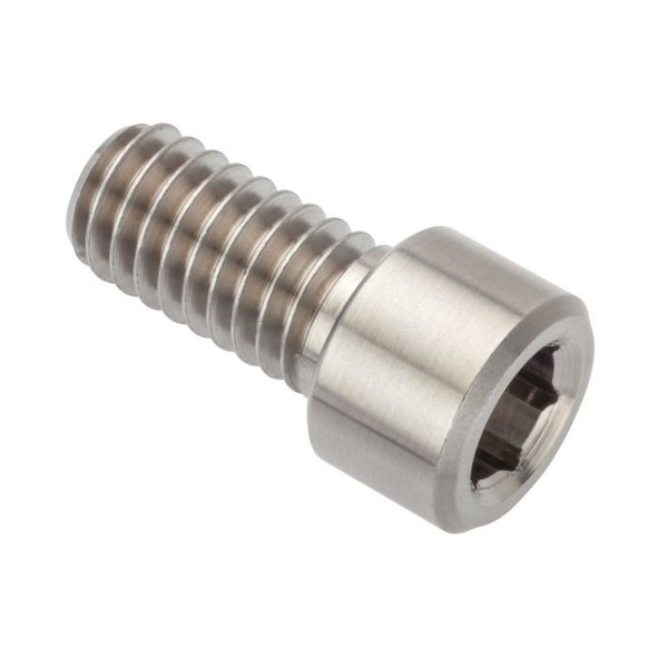 Ampg M5 Socket Head Cap Screw, Plain Titanium, 10 mm Length ZS755M5X10