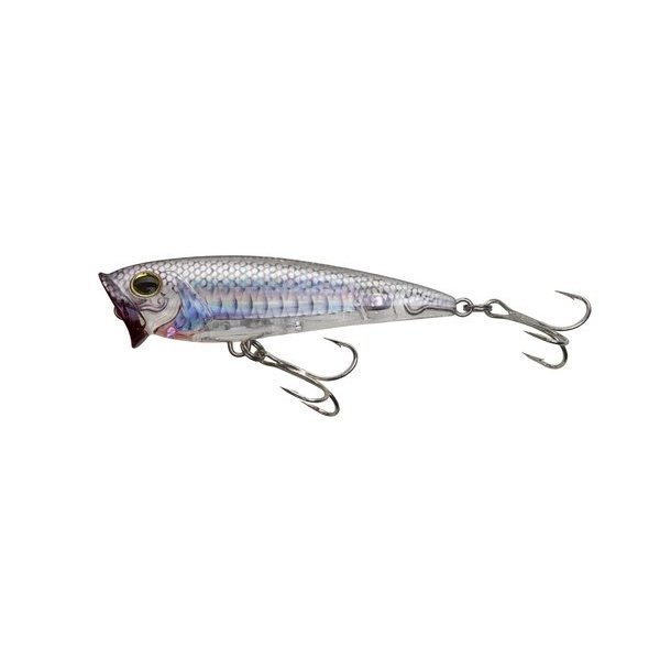  Yo-Zuri R1412-HGSH: 3D Inshore Popper (F) 120Mm 4-3/4, Ghost  Shad : Sports & Outdoors