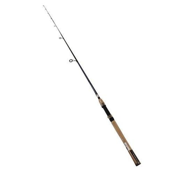 Daiwa Aird Coastal Rod 7' Medium Heavy Action, XFast Taper Spin, Carbon  Fiber Braiding, 1020Lb, Cork ACIN701MHXS