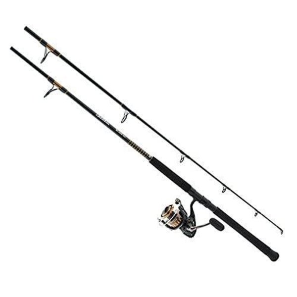 Daiwa Bg Surf Spinning Combo, No Line, 1002 Md Hvy 2Pc Rod BG5000