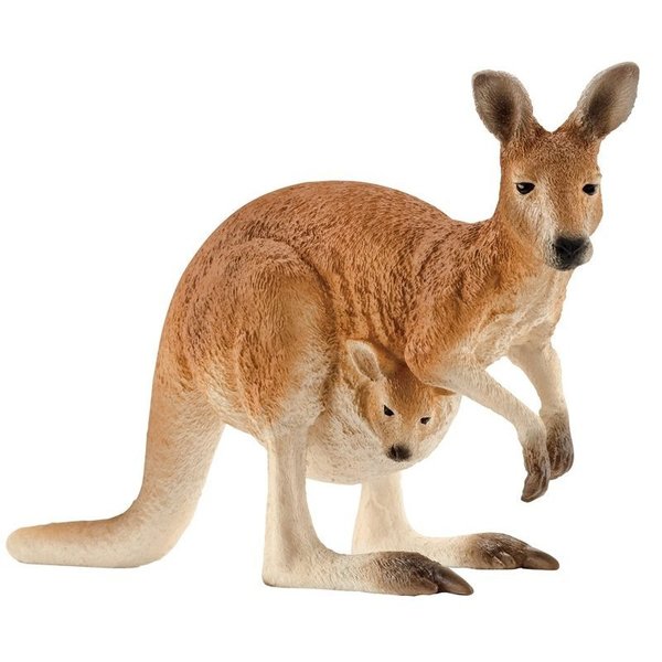 Schleich North America Brn Kangaroo 14756 | Zoro