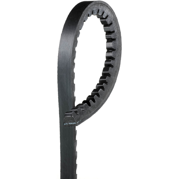 Gates Accessory Drive Belt, 9625 9625