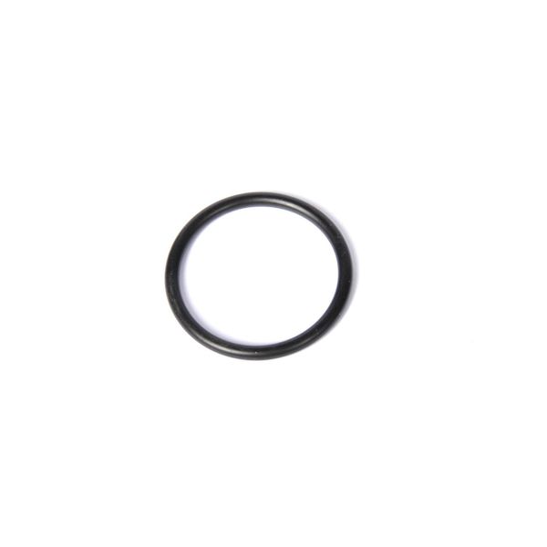 Acdelco Engine Coolant Thermostat Housing Seal, 09129999 09129999
