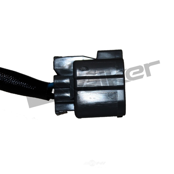 Walker Oxygen Sensor, 350-64005 350-64005