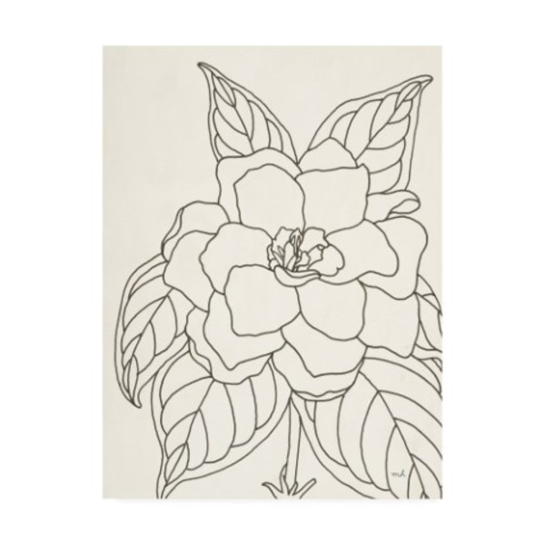 Trademark Fine Art Moira Hershey 'Gardenia Line Drawing Crop