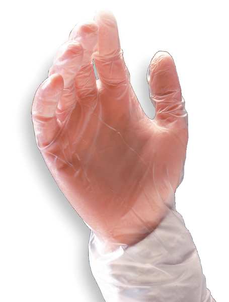 Pip Disposable Gloves Vinyl Clear L 1000 PK 100-2830/L