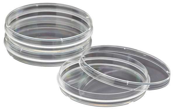 Celltreat Petri Dish, 150 x 20mm, 25 to 28mL, PK100 229653