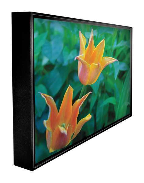Peerless Outdoor Television, LCD, 55 in., 1080P CL-55PLC68-OB