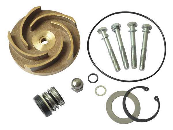 Dayton Pump Repair Kit, For 2ZWY3A 21TG84