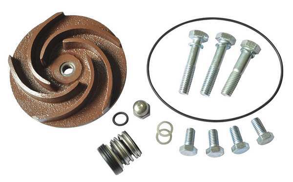 Dayton Pump Repair Kit, For 2ZWR2A, 2ZWR3A 21TG47