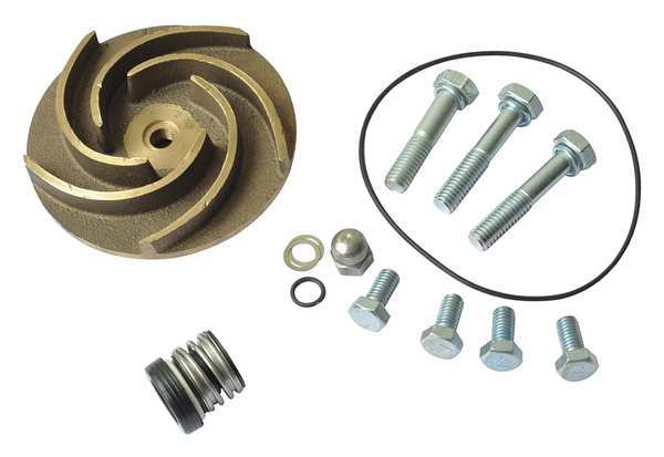 Dayton Pump Repair Kit, For 2ZWT6A, 2ZWT7A 21TG60