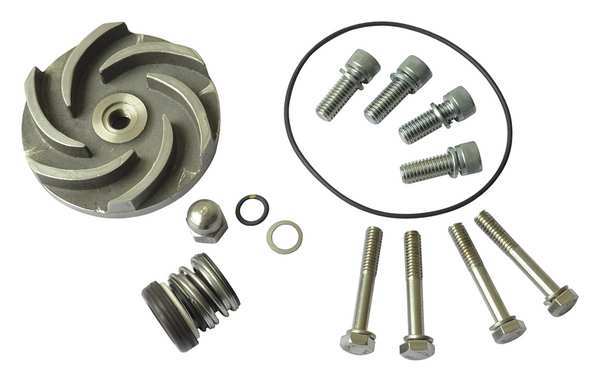 Dayton Pump Repair Kit, For 2ZWT9, 2ZWU1 21TG63