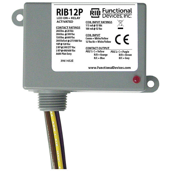 Functional Devices-Rib Enclosed Relay, 20A, DPDT, 12VAC/dc RIB12P