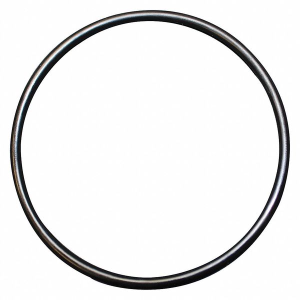 Dupont Water Filtration 5-1/2" O Ring, 100 F WFAO100