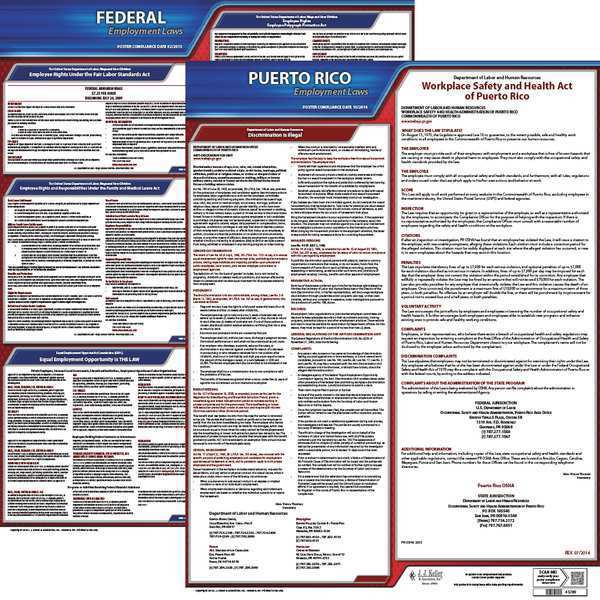 Jj Keller Labor Law Poster Kit, PR, English, 19 In. W 100-PR-K