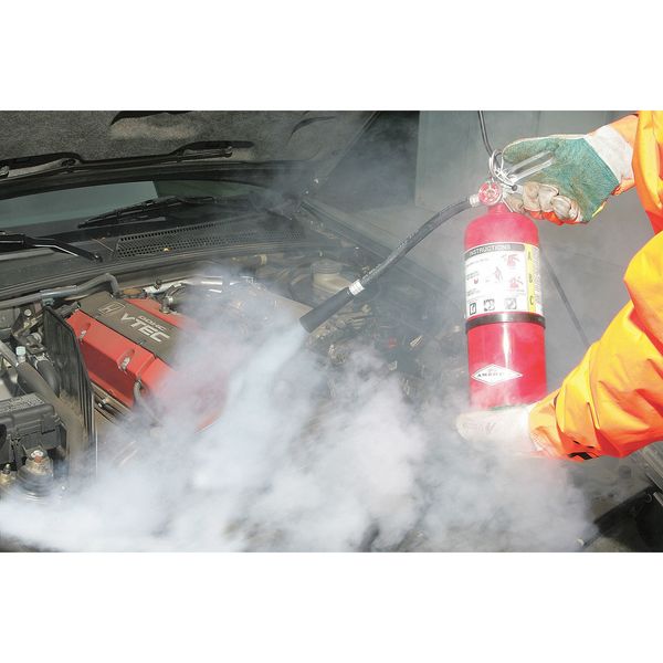 Amerex Fire Extinguisher, 2A:10B:C, Dry Chemical, 5 lb B500T