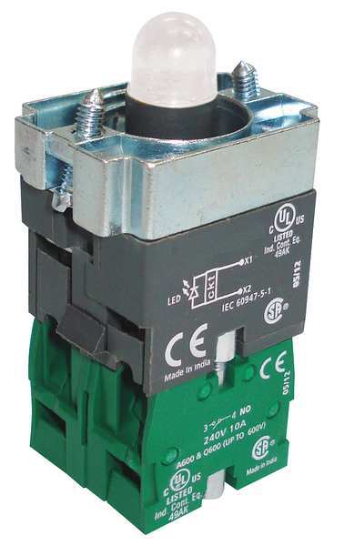 Dayton Lamp Module and Contact Block, 22mm, 2NO 30G168