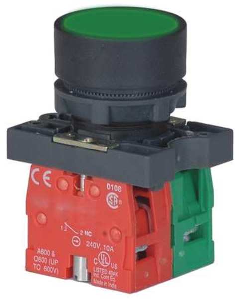 Dayton Non-Illuminated Push Button, 22 mm, 1NO/1NC, Green 30G233