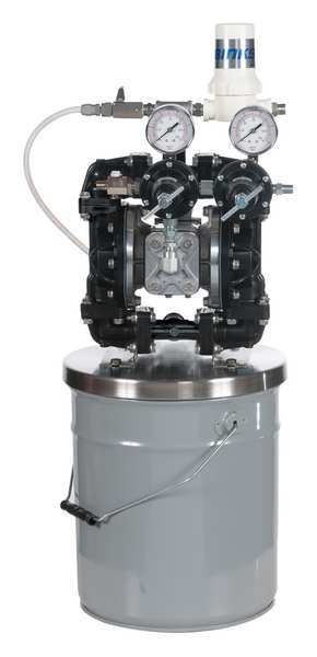 Binks DBL Diaphragm Pump, Acetal, 5 gal. GEM2-W2D2070
