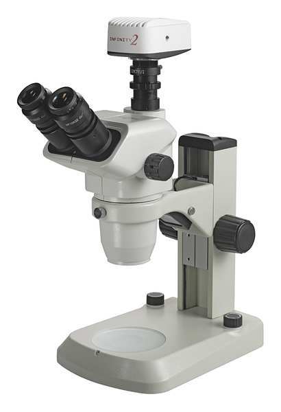 Accu-Scope Microscope, 9-13/32in.Hx11-13/32in.W, 15lb 3076-LED-E