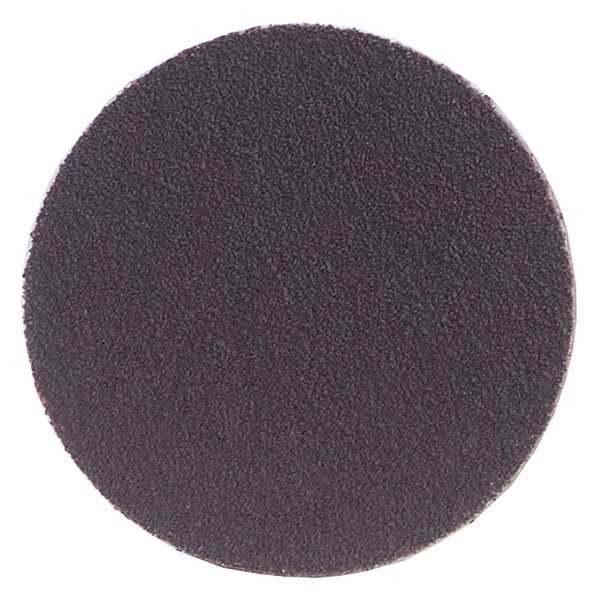 Norton Abrasives PSA Sanding Disc, 12in.D, Coarse, 40Grit 66261136630