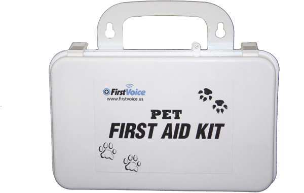 First Voice Bulk First Aid kit, Plastic PET01
