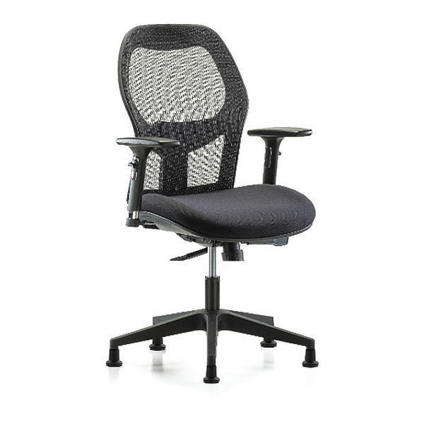 Blue Ridge Ergonomics Mesh Desk Chair, 19" to 23", Adjustable Arms BR-EXE-MDHCH-RG-H0-A2-RG