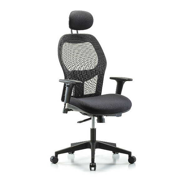 Blue Ridge Ergonomics Mesh Desk Chair, 19" to 23", Adjustable Arms BR-EXE-MDHCH-RG-H1-A1-RC