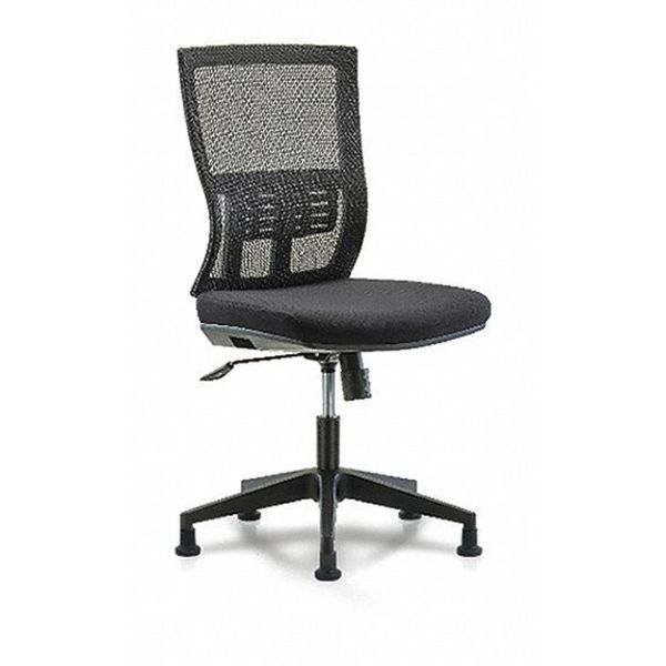 Blue Ridge Ergonomics Desk Chair, Mesh, 18-1/2" to 21-1/2" Height, No Arms, Black BR-MOD-MDHCH-RG-C1-A0-RG