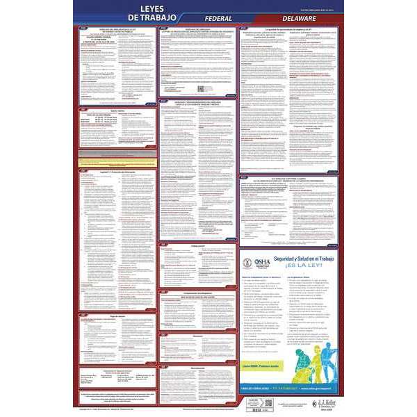 Jj Keller Labor Law Poster, Fed/STA, DE, SP, 26inH, 3yr 400-DE-3