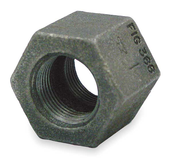 Anvil FNPT, Cast Iron Hex Coupling, Class 125 0300147998