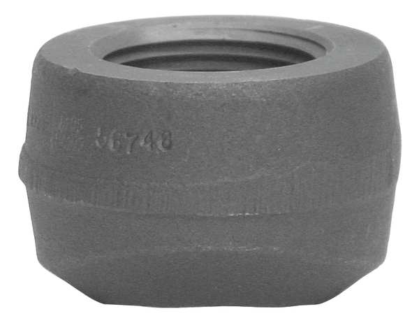 Anvil Pipe Saddle, Threaded Pipe, 1/2 In 0766260434