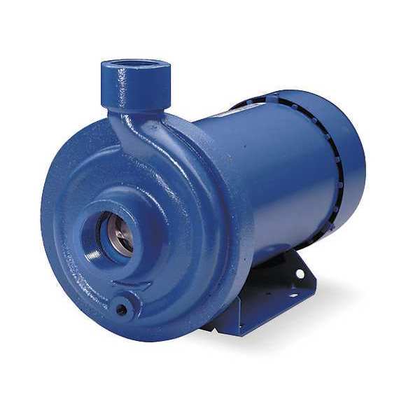 Goulds Water Technology Cast Iron 2 HP Centrifugal Pump 115/230V 100MC1G4A0
