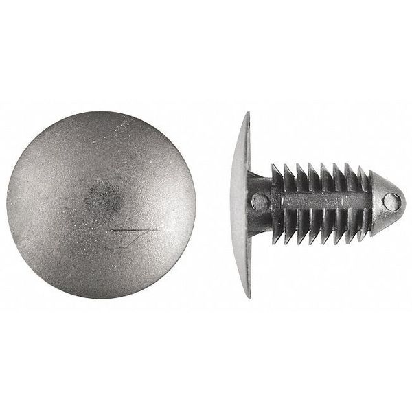 Zoro Select Push-In Rivet, Dome Head, 0.375 in Dia., 27/32 in L, Nylon Body, 25 PK 5710PK