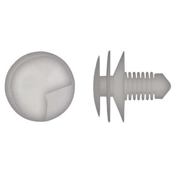 Zoro Select Push-In Rivet, Dome Head, 7 mm Dia., 14.8 mm L, Nylon Body, 50 PK 592PK