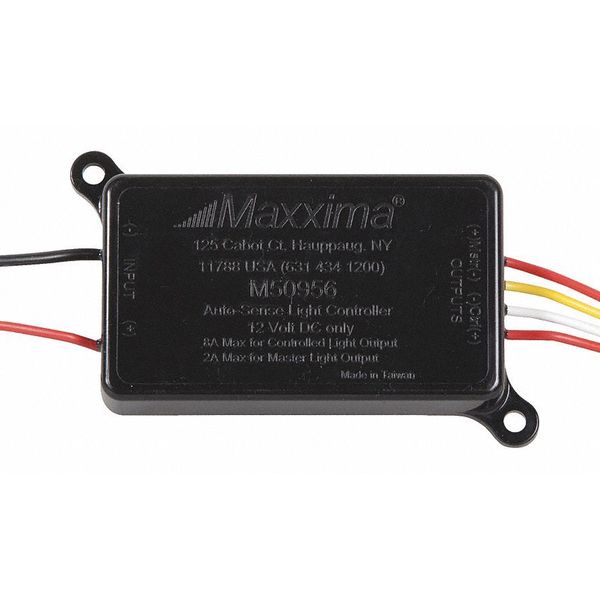 Maxxima Main Harness, Blunt Cut Type, 3-13/64" L M50956
