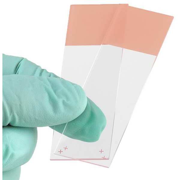 Globe Scientific Microscope Slide, Orange, 25x75mm, PK72 1358N