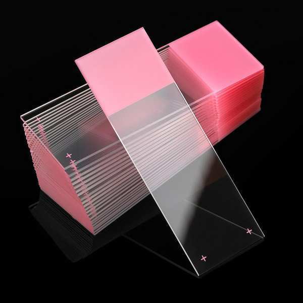 Globe Scientific Microscope Slide, Pink, 25x75mm, PK72 1358P