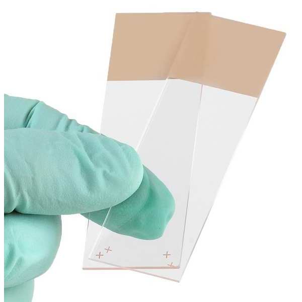 Globe Scientific Microscope Slide, Tan, 25x75mm, PK72 1358T