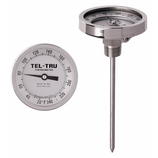 Tel-Tru Analog Dial Thermometer, Stem 6" L GT300R-0667