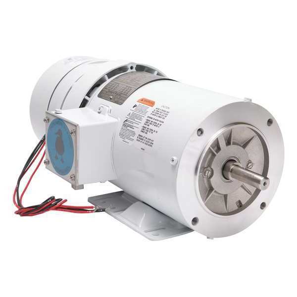 Leeson Washdown Brake Motor, 1 HP, 1725 RPM 119486.00