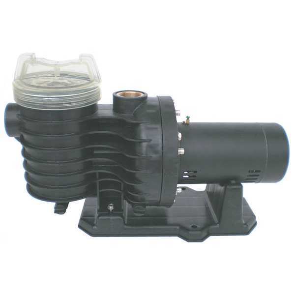 Dayton Pool Pump, 3/4HP, 3450,115/230V 5PXE3