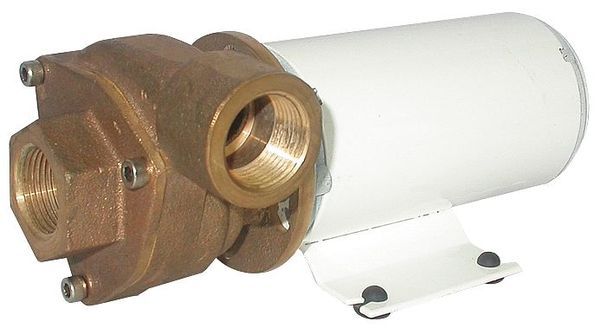 Dayton Brass 1/8 HP Centrifugal Pump 24V 5PXW8
