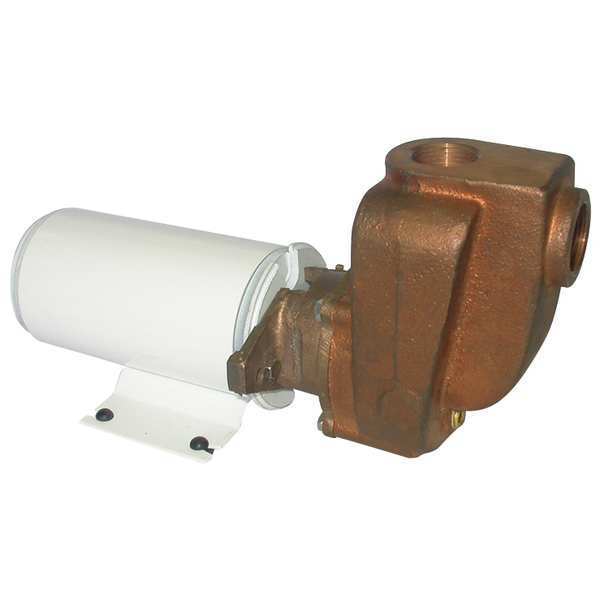 Dayton Brass 1/8 HP Centrifugal Pump 12V 5PXX5