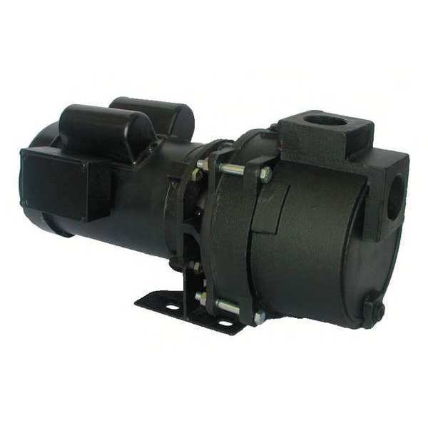 Dayton Pump, Sprinkler, 3/4 HP, 1 Ph 5RWG5